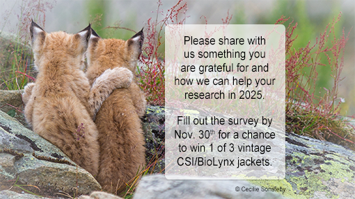 Lynx Kittens - Gratitude Survey Banner - Answer 3 questions by Nov. 30th for a chance to win 1 of 3 Vintage CSI/BioLynx Jackets